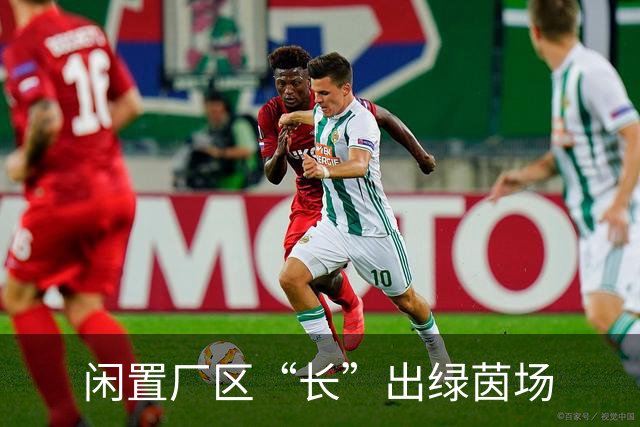 闲置厂区“长”出绿茵场